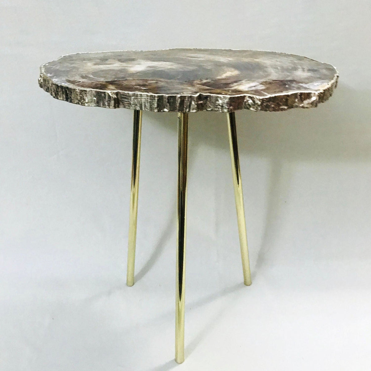 Petrified Wood Side Table, 18" x 12" Organic Edge