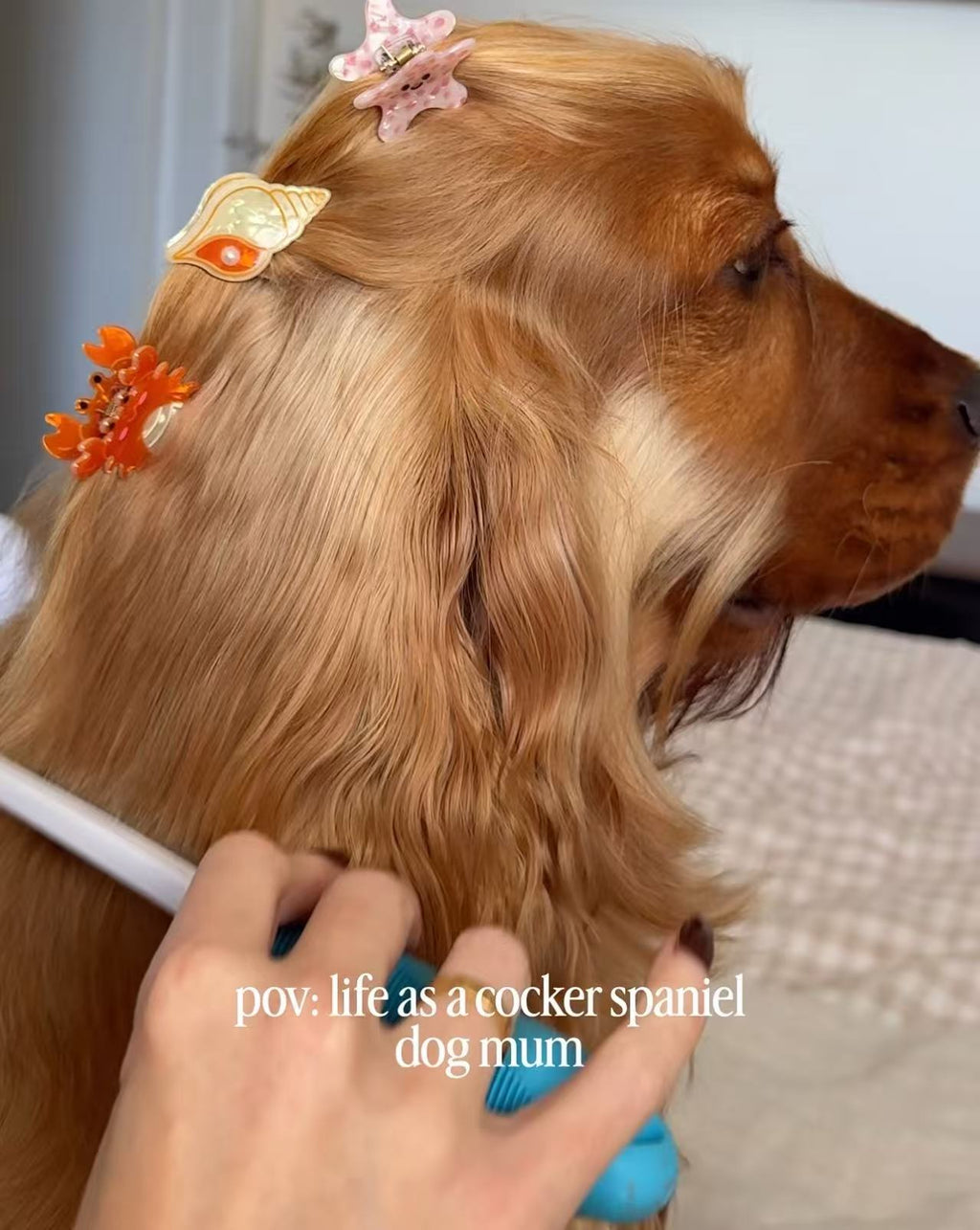 PAWSOME PETS NEW YORK Hand-painted OCEAN COLLECTION SMALL Hair Clip | Eco-Friendly - hair claws at Dealshubindia
