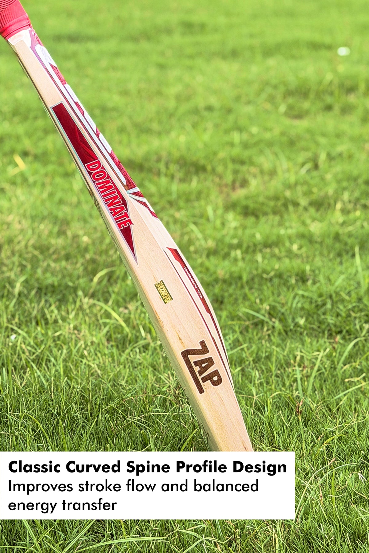 ZAP Classic Glider English Willow Bat
