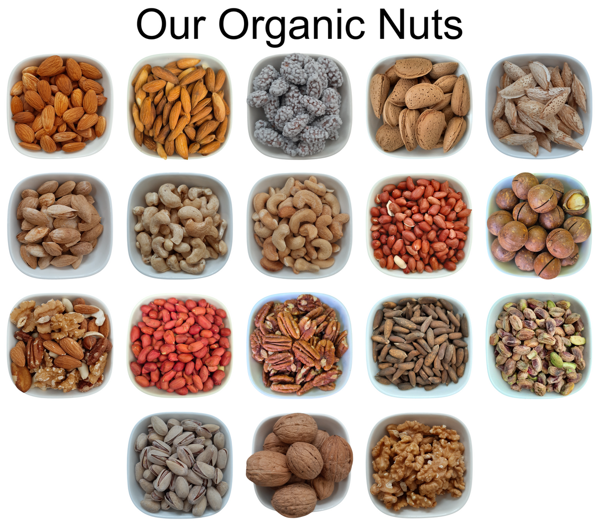 Monkey Nuts (Peanuts) – Natural Organic Premium-quality + Free sample!
