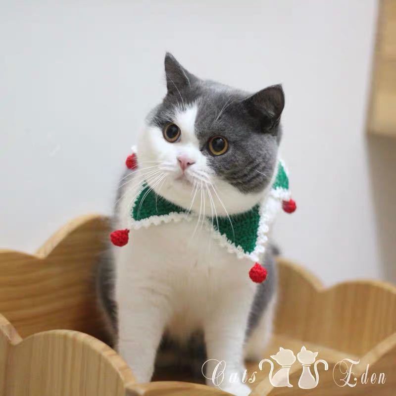 Christmas handmade collars - n/a at Dealshubindia