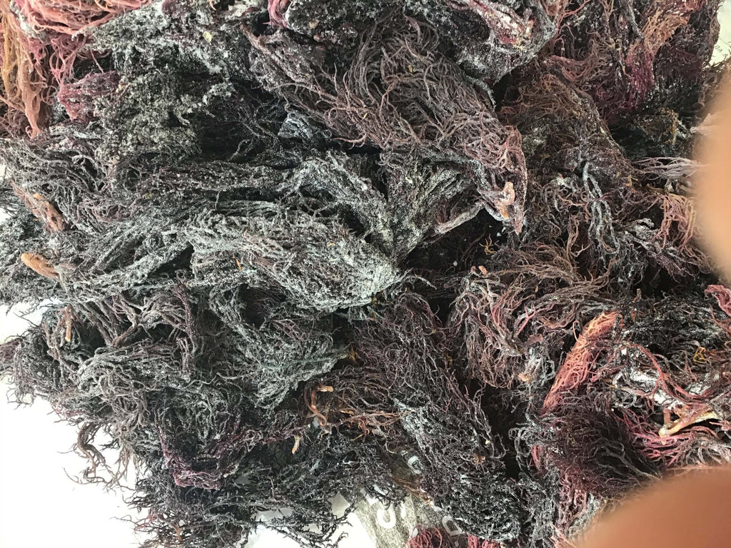 Premium Dark Purple Seamoss — Shipped Direct from Saint Lucia-4