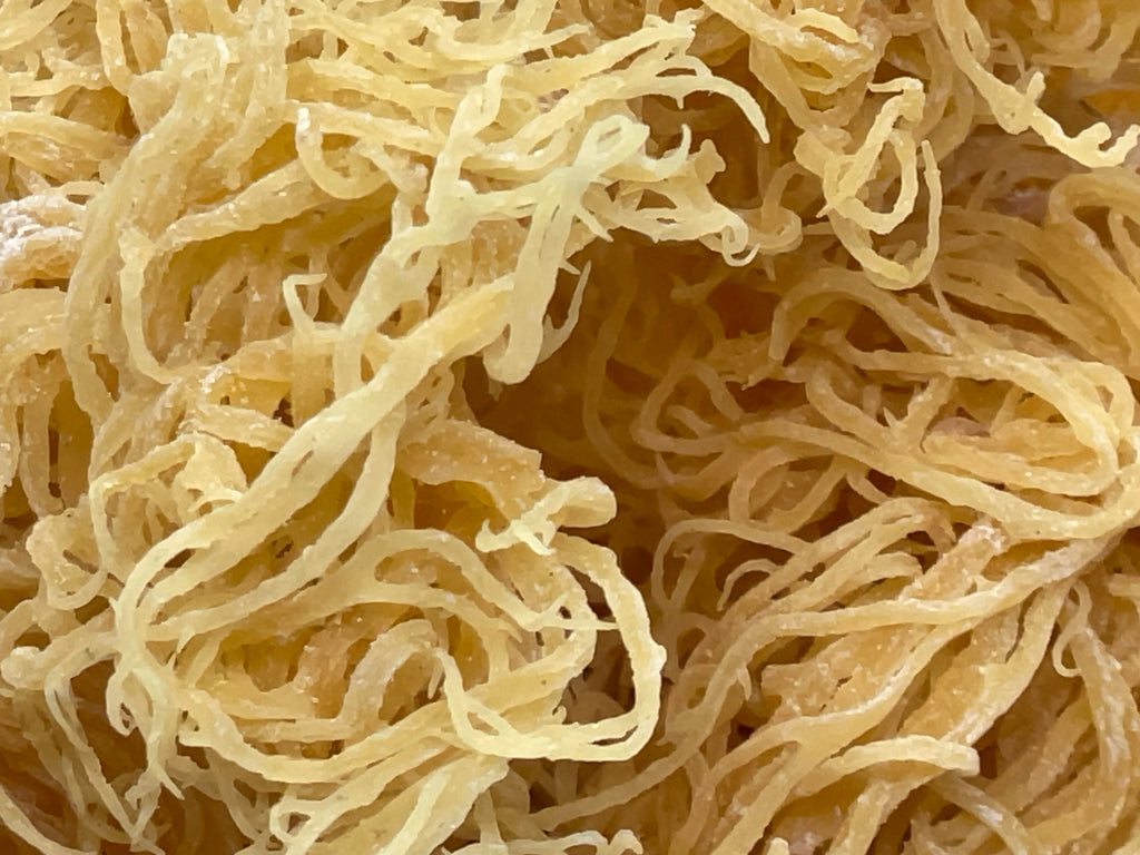 Gold Seamoss — Shipped Direct from Saint Lucia-3