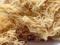 St. Lucian Gold Sea Moss Bulk (Wholesale Dried Seamoss)-0