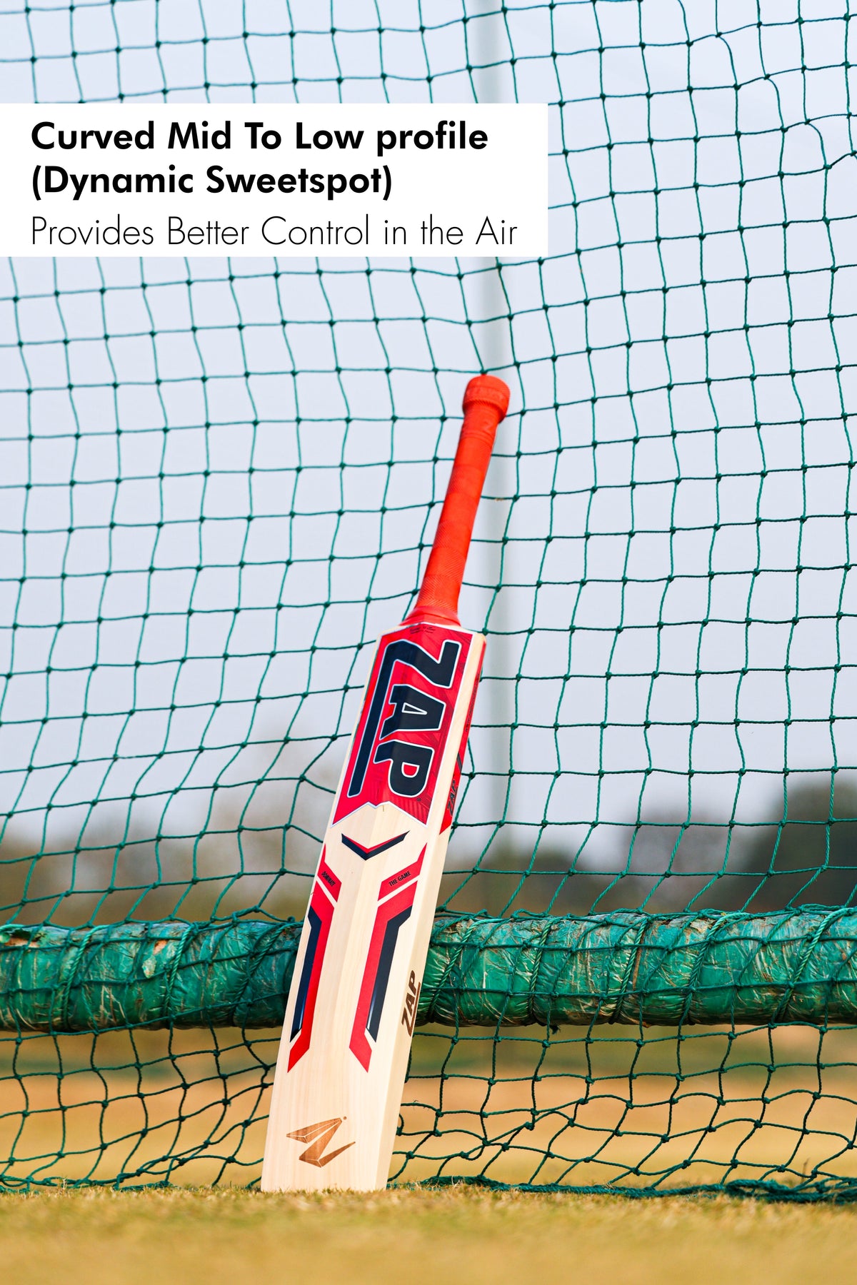 ZAP Instinct Kashmir Willow Bat