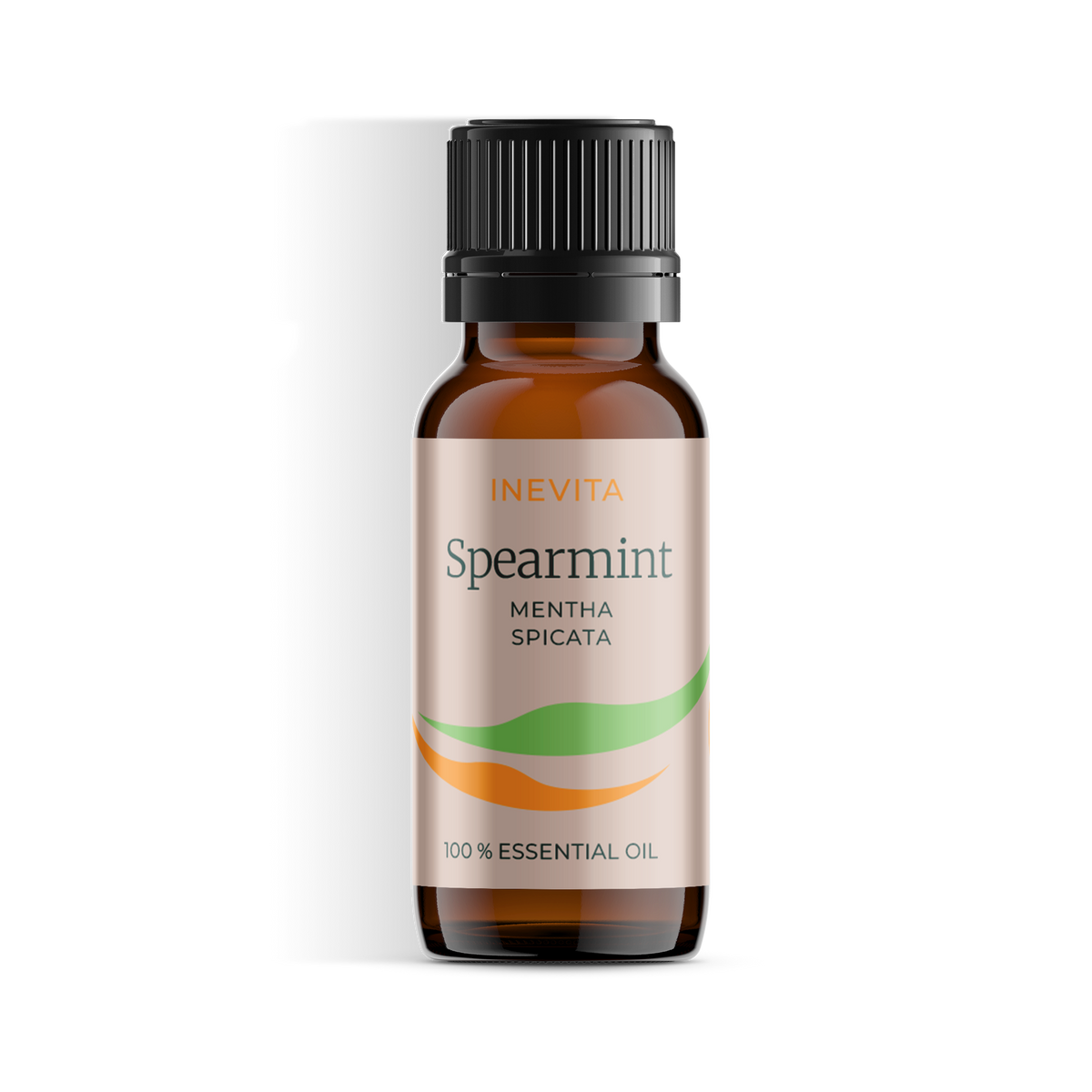 Spearmint