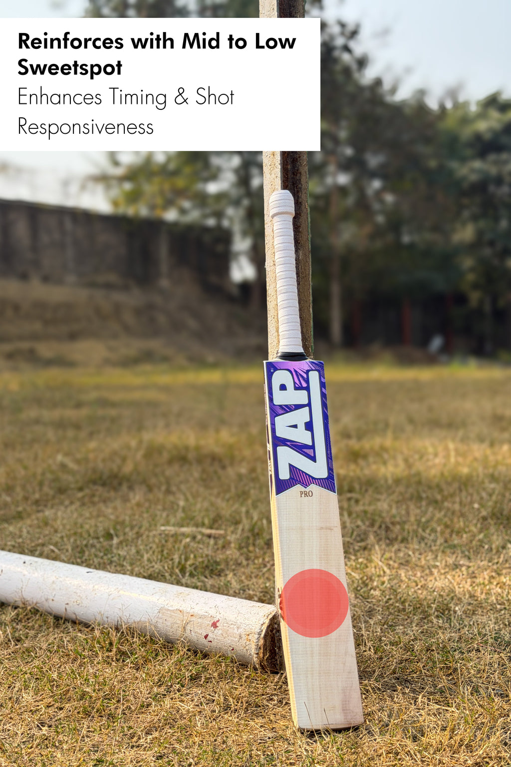 ZAP Pro Kashmir Willow Bat
