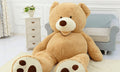 Teddy Bear Plush Toy