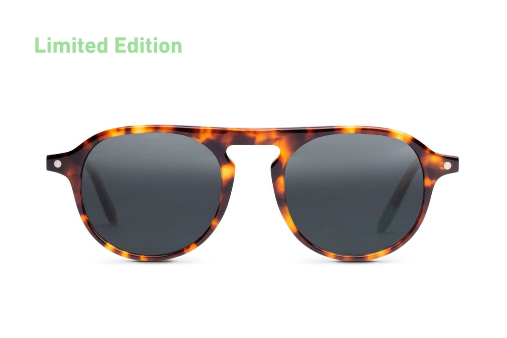 Zingaro – Tortoise - SUNGLASSES - Lunettes de Soleil at Dealshubindia