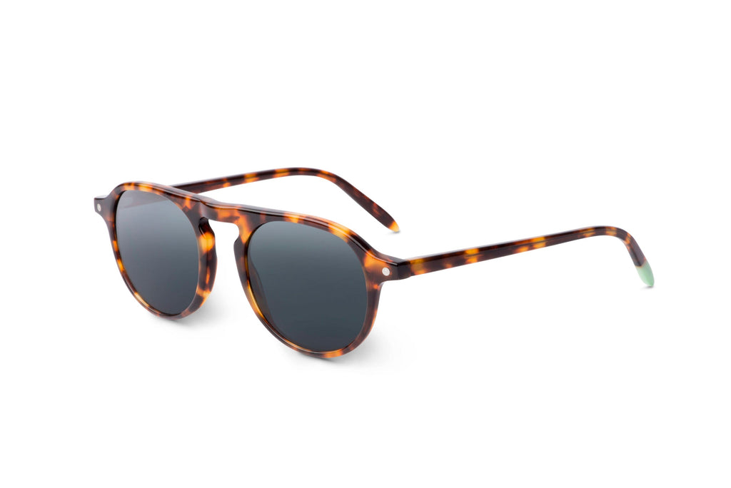 Zingaro – Tortoise - SUNGLASSES - Lunettes de Soleil at Dealshubindia