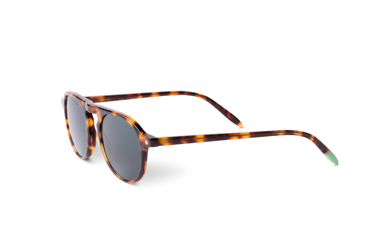 Zingaro – Tortoise - SUNGLASSES - Lunettes de Soleil at Dealshubindia