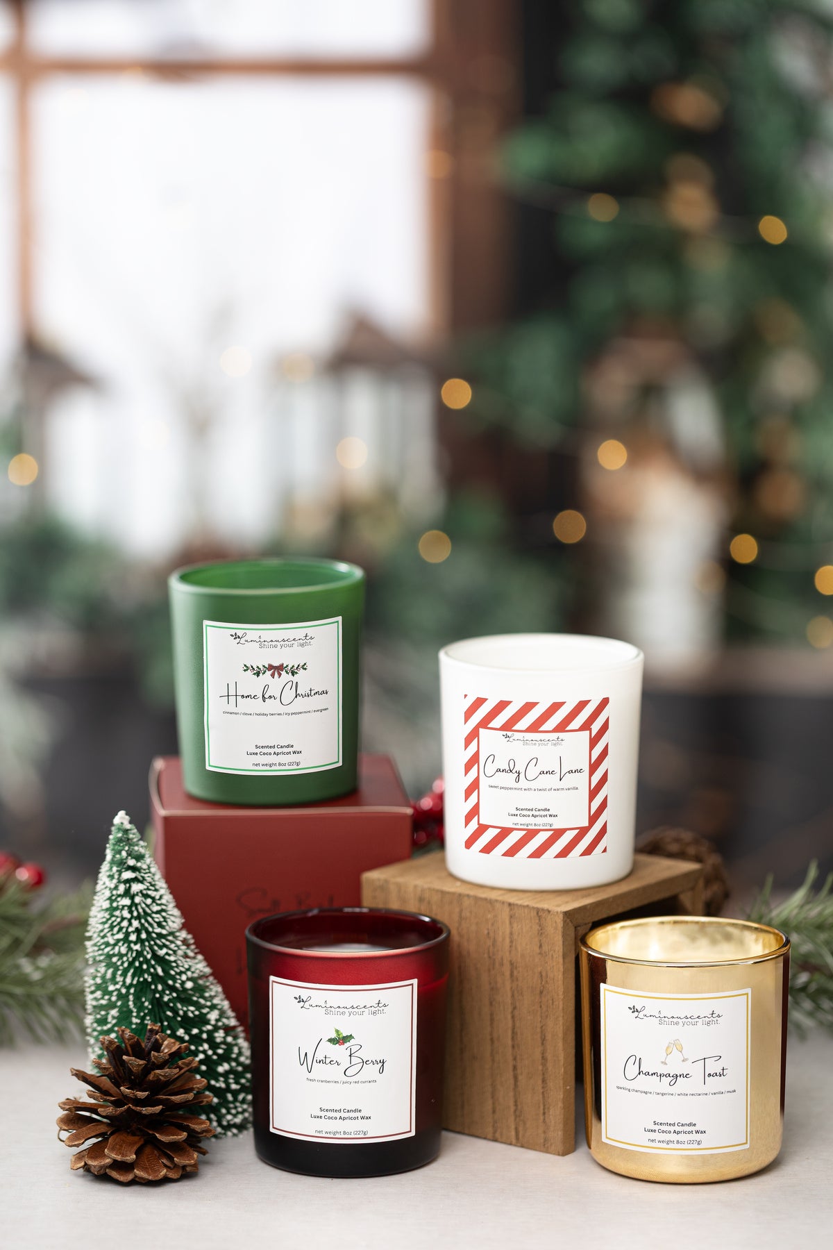 Home For Christmas - Holiday Collection at Dealshubindia