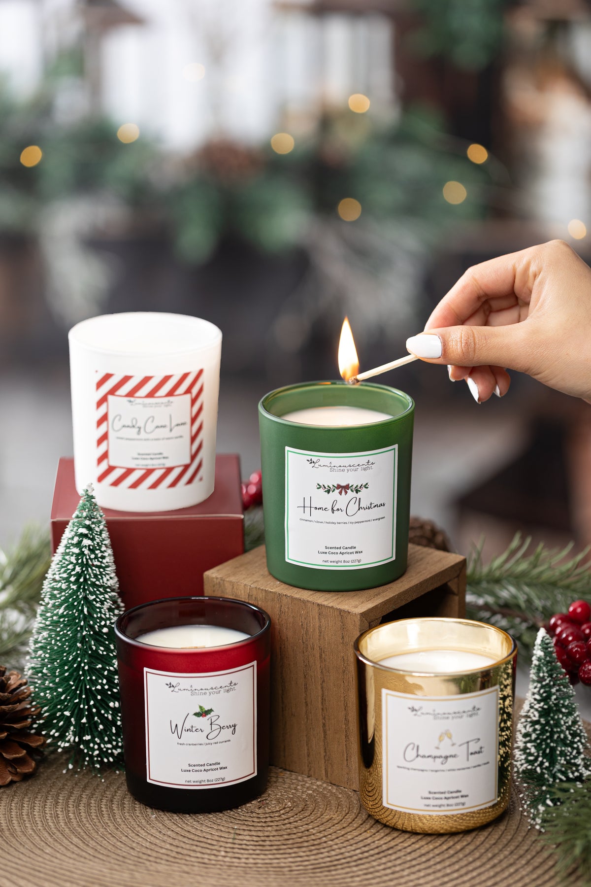 Home For Christmas - Holiday Collection at Dealshubindia