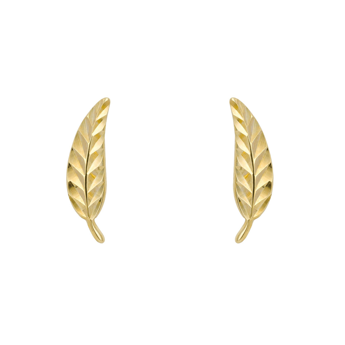 Elements Gold Feather Stud Earrings-3