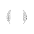 Elements Gold Feather Stud Earrings-0