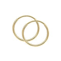 Elements Gold 10mm Hoop Earrings-0