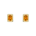Elements Gold Detailed Octagon Citrine Stud Earrings-0
