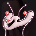 Roomfun Double-Ended G-Spot Vibrator Remote Controlled for Couples